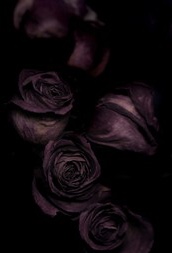 poezii.online Vanessa