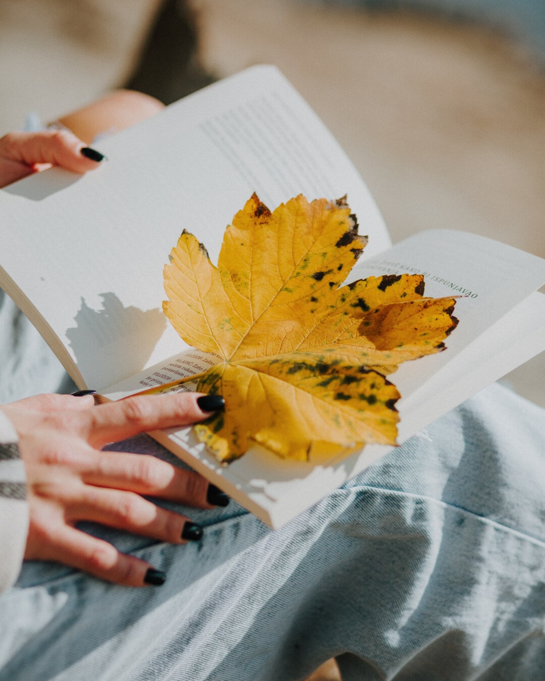 poezii.online Femeia in litere