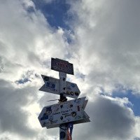 poezii.online În parcul meu