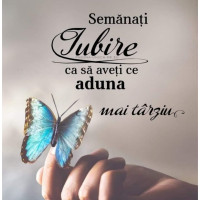 poezii.online Câinele și pisica