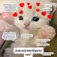 poezii.online Involuntar
