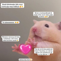 poezii.online Domnișoară cu multe gânduri