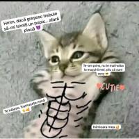 AnaS