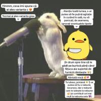AnaS