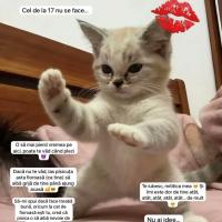 poezii.online De când te cunosc
