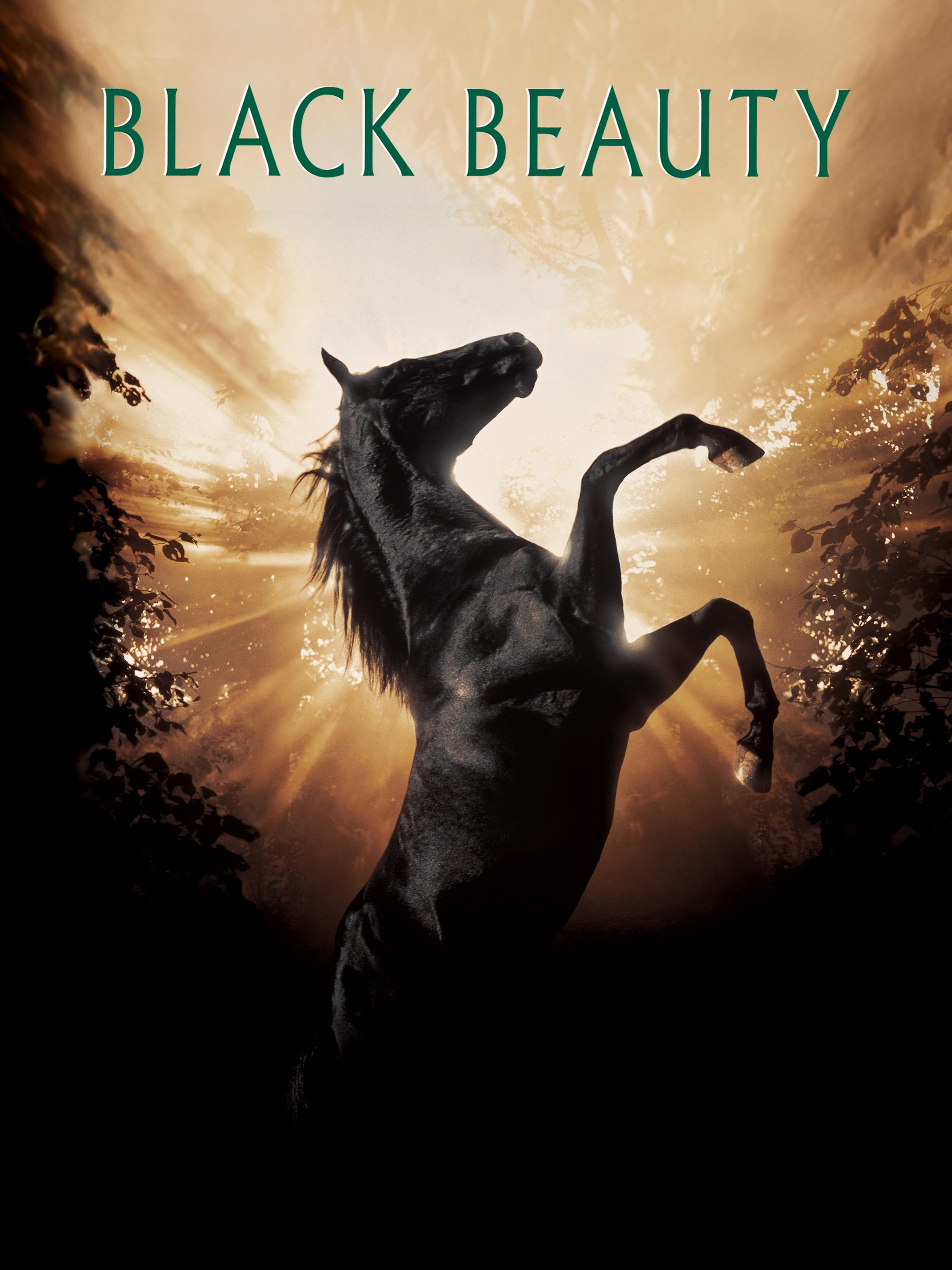 Black Beauty